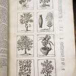 Lémery. Dictionnaire universel des drogues simples. Planches avec plantes médicinales dont le café.