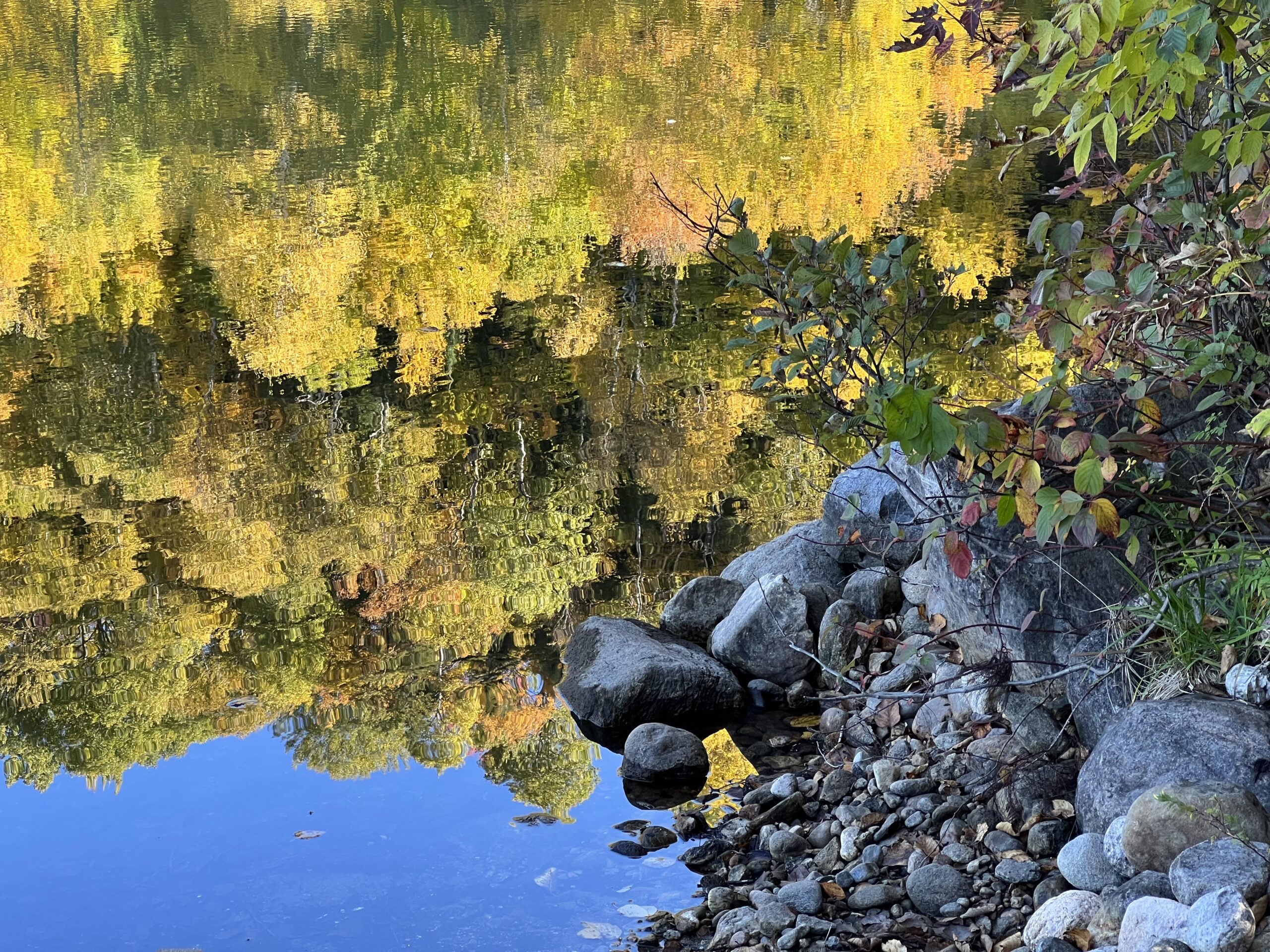 Concours photos 2023 Survey