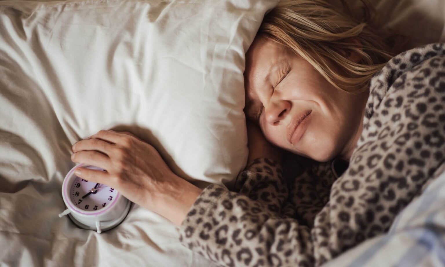 20260206_horloge-interne