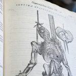 André Vésale. Anatomia, détail.