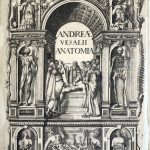 André Vésale. Anatomia. Venise, 1604.