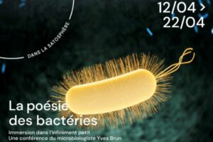 Conférence immersive La poésie des bactéries